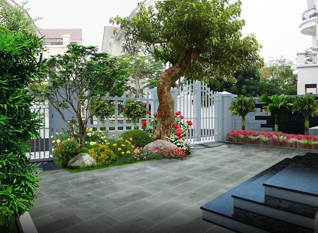 Trồng 5 loại cây này trong sân nhà bạn, con cháu ngày càng phát đạt